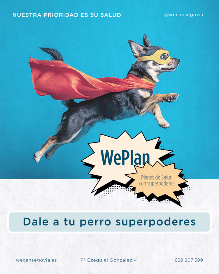 Pieza del plan de salud WePlan con un perro con capa de superhéroe