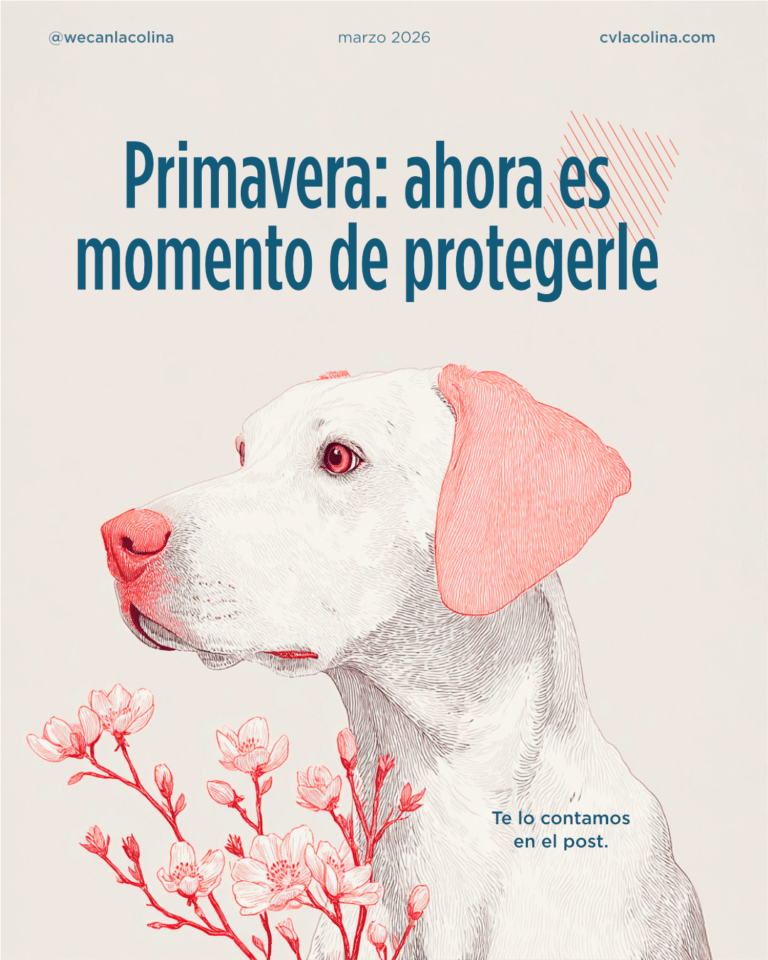 Pieza de prevención en primavera con ilustración de un perro entre flores