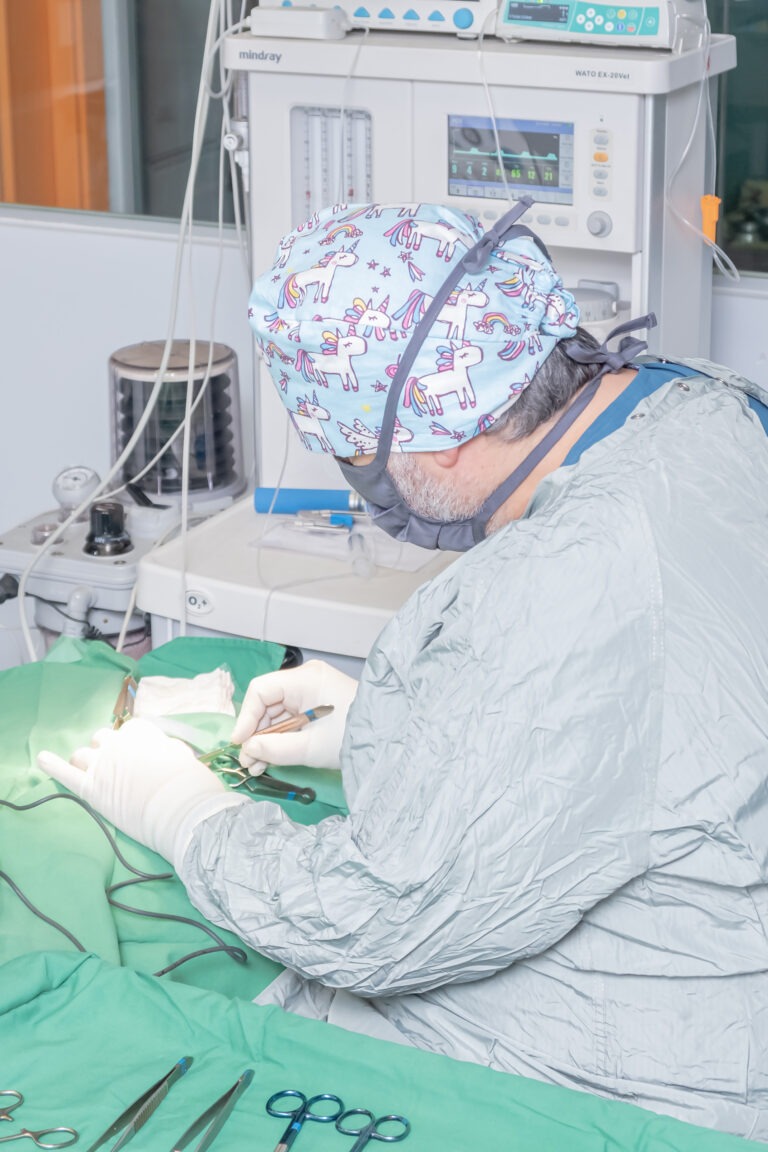 Cirugía veterinaria con el paciente monitorizado