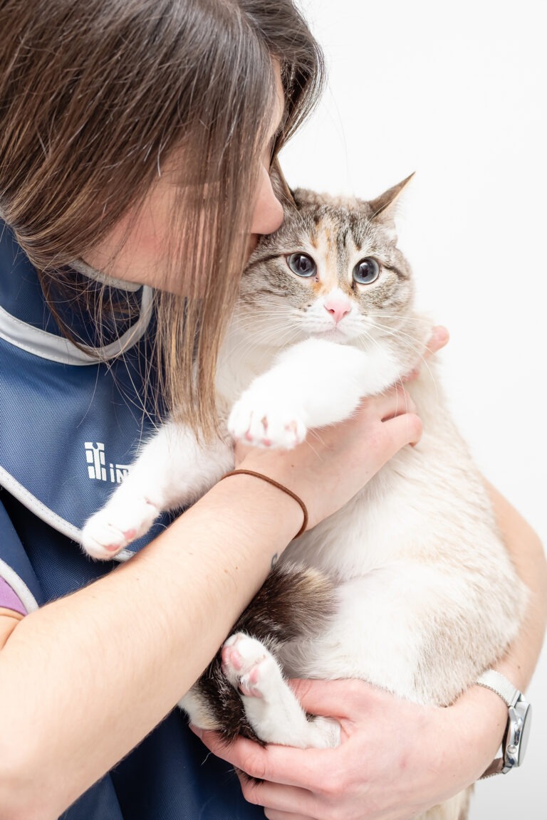Auxiliar veterinaria sujetando a un gato en consulta