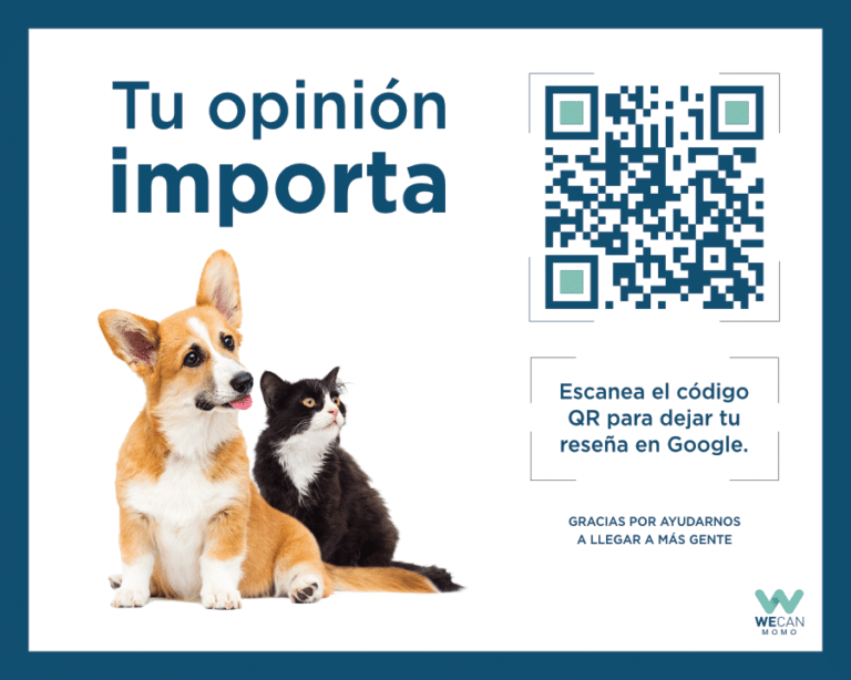 Cartel con código QR para pedir reseñas en Google a los clientes de la clínica